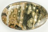 Ocean Jasper Pendant (Necklace) - Sterling Silver #192320-1